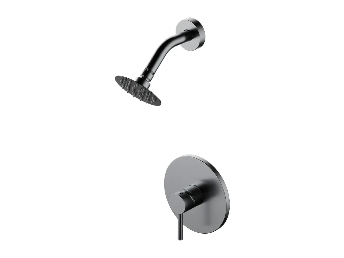 Griferia Fv Inox One Ducha Acero Inox 108/i1